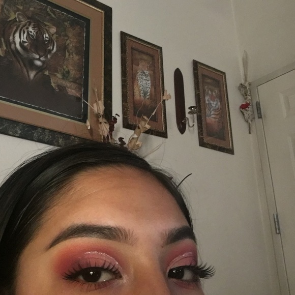 Meet your Posher, Anai - Picture 1 of 1